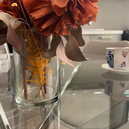 Academy Tortellinosuite *