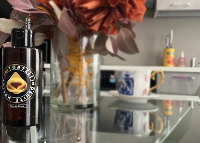 Academy Tortellinosuite Modène